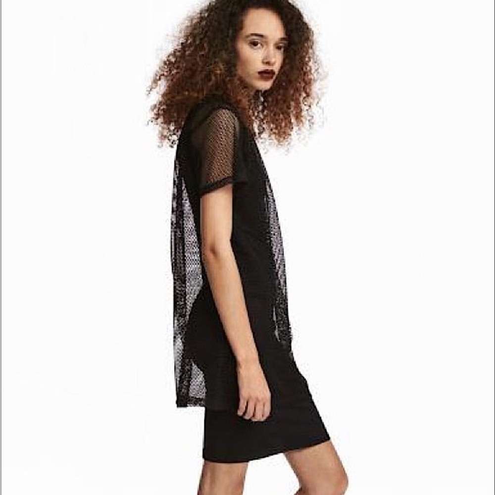 Mesh T-Shirt/ bathing suit cover